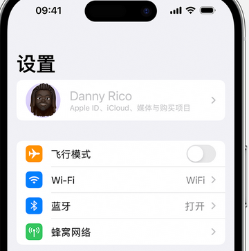 改则appleID维修服务iPhone设置中Apple ID显示为灰色无法使用