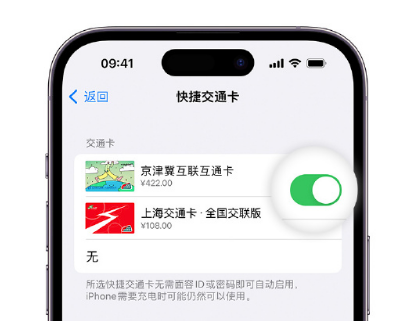 改则apple维修点分享iPhone上更换Apple Pay快捷交通卡手绘卡面 