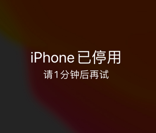 改则苹果手机维修分享:iPhone 显示“不可用”或“已停用”怎么办？还能保留数据吗？ 