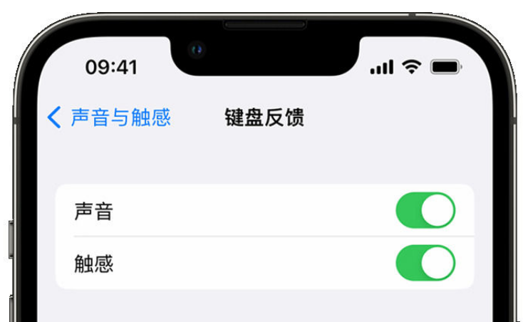 改则苹果手机维修分享iPhone 14触感键盘使用方法 