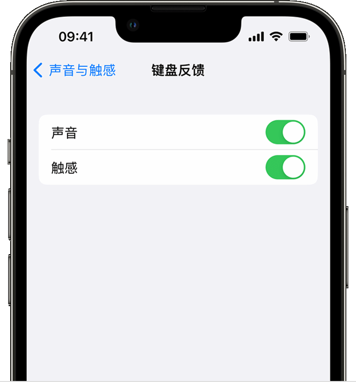 改则苹果14维修店分享如何在 iPhone 14 机型中使用触感键盘 