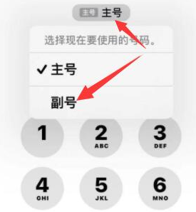 改则苹果14维修店分享iPhone 14 Pro Max使用副卡打电话的方法 