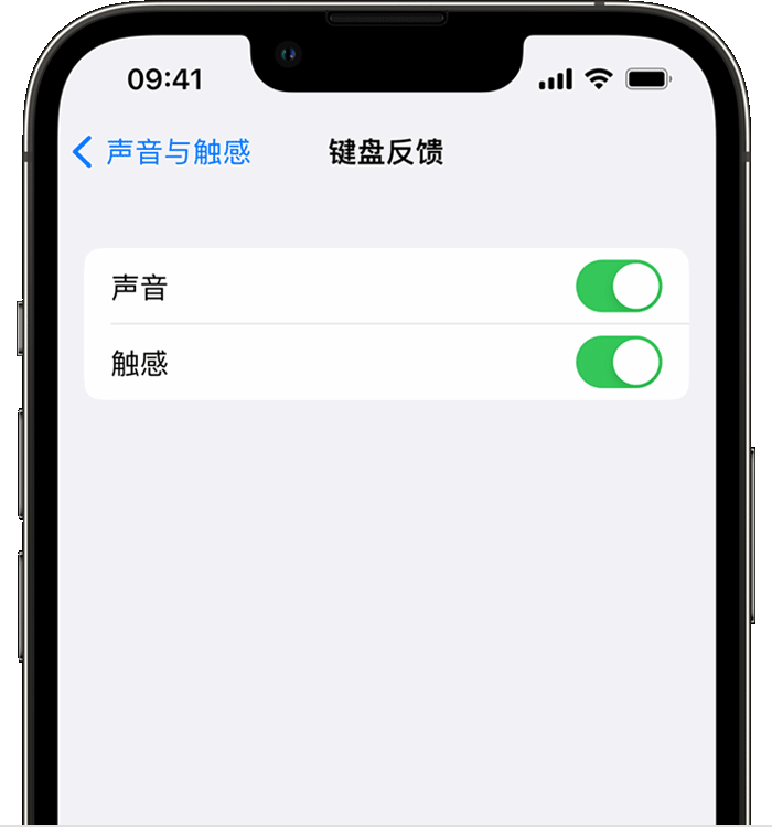 改则苹果14维修分享iPhone 14 系列机型如何开启键盘声音或触感反馈 