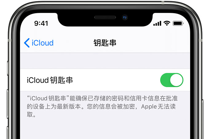 改则苹果手机维修分享在 iPhone 上开启 iCloud 钥匙串之后会储存哪些信息 