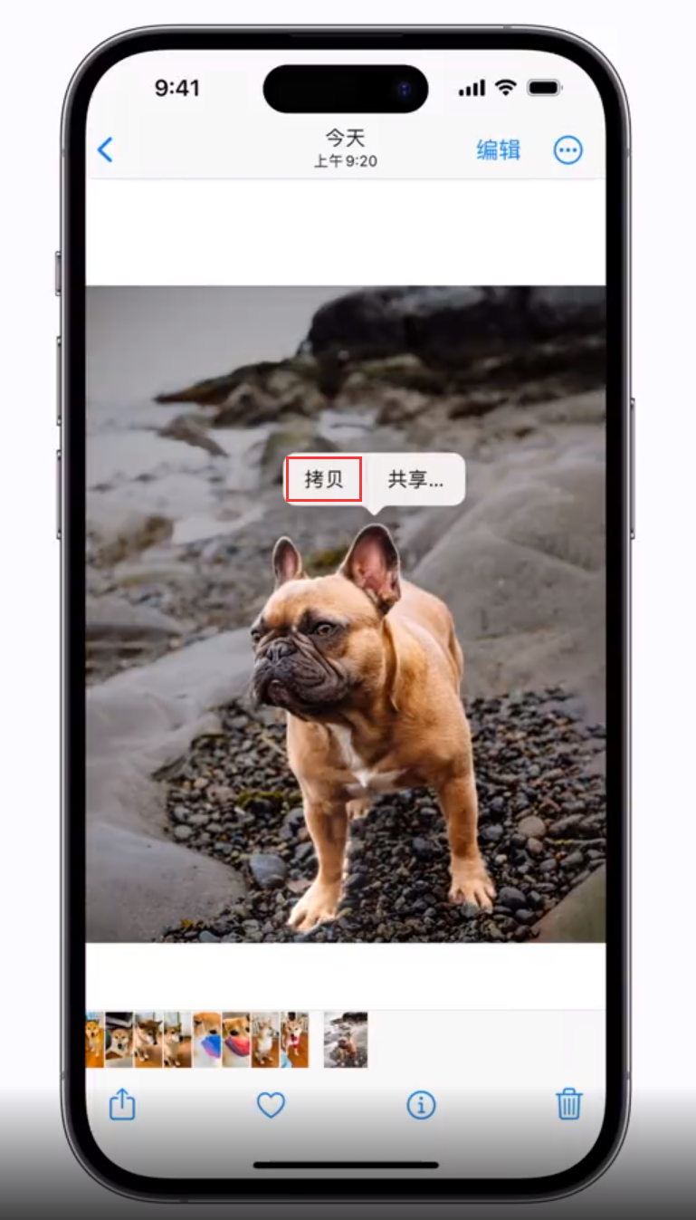 改则苹果手机维修分享 iOS 16 自带一键抠图功能 