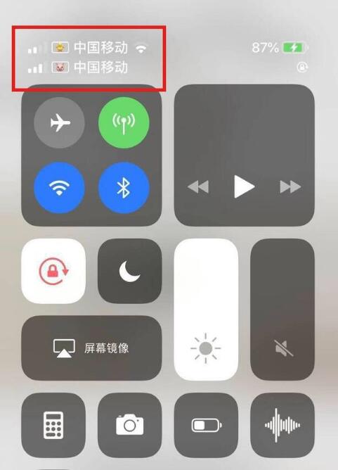改则苹果手机维修分享为 iPhone 12 双卡设置标签 